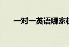 一對(duì)一英語哪家機(jī)構(gòu)好（有哪些機(jī)構(gòu)）