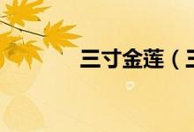 三寸金蓮（三寸金蓮的由來）