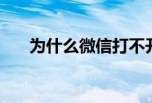 為什么微信打不開（微信打不開原因）