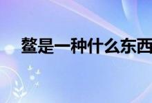 鰲是一種什么東西（鰲是一種什么動物）