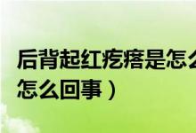 后背起紅疙瘩是怎么回事兒（后背起紅疙瘩是怎么回事）