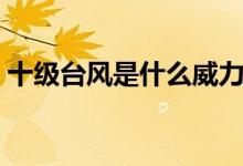 十級臺風是什么威力（十級臺風是什么概念）