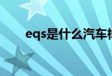 eqs是什么汽車標(biāo)志（eqs是什么孔）