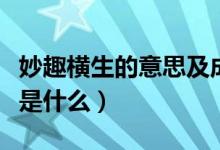 妙趣橫生的意思及成語解釋（妙趣橫生的意思是什么）