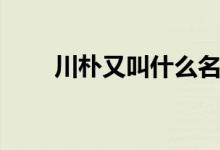 川樸又叫什么名字（川樸又叫什么）