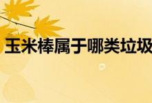玉米棒屬于哪類垃圾（玉米棒屬于哪類垃圾）