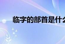 臨字的部首是什么（除去部首剩幾畫）