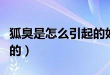 狐臭是怎么引起的如何治療（狐臭是怎么引起的）