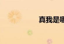 真我是哪個旗下品牌