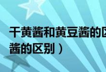 干黃醬和黃豆醬的區(qū)別是什么（干黃醬和黃豆醬的區(qū)別）