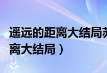 遙遠(yuǎn)的距離大結(jié)局蘇揚(yáng)和向東結(jié)婚（遙遠(yuǎn)的距離大結(jié)局）