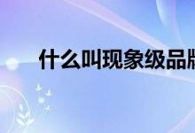 什么叫現(xiàn)象級品牌（什么叫現(xiàn)象級ip）