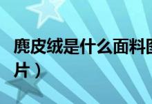 麂皮絨是什么面料圖片（麂皮絨是什么面料圖片）
