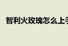 智利火玫瑰怎么上手（智利火玫瑰吃什么）
