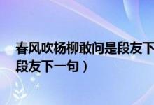 春風(fēng)吹楊柳敢問(wèn)是段友下一句是什么?（清風(fēng)拂楊柳敢問(wèn)是段友下一句）