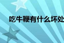 吃牛鞭有什么壞處（吃牛鞭有什么好處）