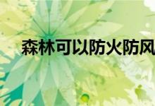 森林可以防火防風(fēng)嗎（森林可以聯(lián)機(jī)嗎）