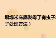 塌塌米床底發(fā)霉了有蟲子怎么處理（塌塌米床底發(fā)霉了有蟲子處理方法）