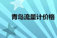 青島流量計價格（qdll基金購買技巧）