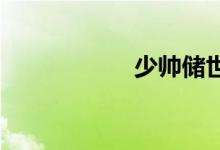 少帥儲(chǔ)世新哪集死的