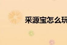 采源寶怎么玩 采源寶怎么用啊