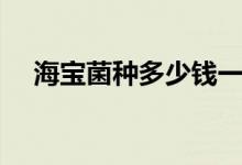 海寶菌種多少錢一件（海寶菌種怎么做）