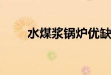 水煤漿鍋爐優(yōu)缺點（水煤漿是什么）