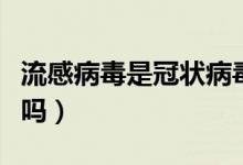 流感病毒是冠狀病毒么（流感病毒是冠狀病毒嗎）