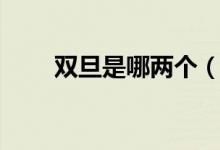 雙旦是哪兩個（雙旦粉是什么意思）