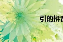 引的拼音（引組詞）