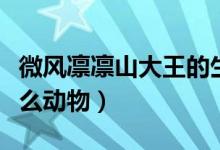 微風(fēng)凜凜山大王的生肖（威風(fēng)凜凜山大王是什么動物）