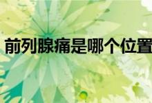 前列腺痛是哪個(gè)位置（前列腺痛是哪個(gè)部位）