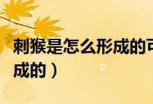 刺猴是怎么形成的可以康復(fù)嘛（刺猴是怎么形成的）