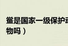 鱟是國家一級保護(hù)動物嗎（海鱟是國家保護(hù)動物嗎）