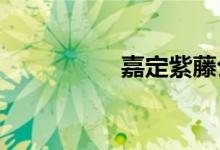嘉定紫藤公園位于哪里