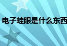 電子蛙眼是什么東西圖片（電子蛙眼是什么）