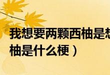 我想要兩顆西柚是想表達什么（我想要兩顆西柚是什么梗）