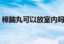樟腦丸可以放室內嗎（樟腦丸可以放床上嗎）