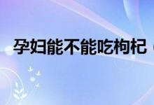 孕婦能不能吃枸杞（孕婦能不能吃鵪鶉蛋）
