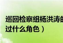 巡回檢察組楊洪濤的扮演者是誰（白紅標還演過什么角色）