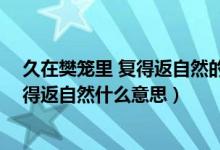 久在樊籠里 復(fù)得返自然的樊籠是什么意思（久在樊籠里 復(fù)得返自然什么意思）