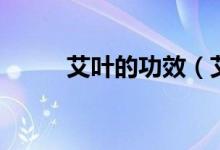 艾葉的功效（艾葉對人體的好處）