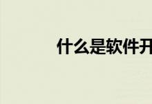 什么是軟件開發(fā)（什么是R角）