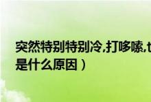 突然特別特別冷,打哆嗦,也不發(fā)燒（渾身發(fā)冷打哆嗦不發(fā)燒是什么原因）