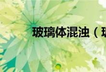 玻璃體混濁（玻璃體混濁能好嗎）