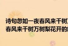 詩句忽如一夜春風(fēng)來千樹萬樹梨花開的意思（詩句忽如一夜春風(fēng)來千樹萬樹梨花開的解釋）