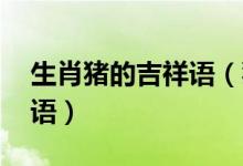 生肖豬的吉祥語(yǔ)（豬的吉祥語(yǔ) 關(guān)于豬的吉祥語(yǔ)）