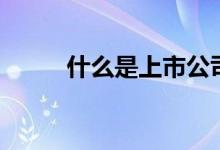 什么是上市公司（上市公司簡介）