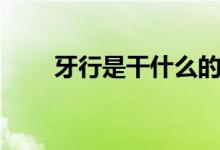 牙行是干什么的（牙行是什么意思）