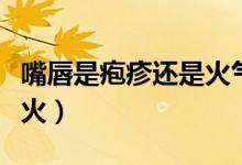 嘴唇是皰疹還是火氣（怎么區(qū)分嘴唇皰疹和上火）